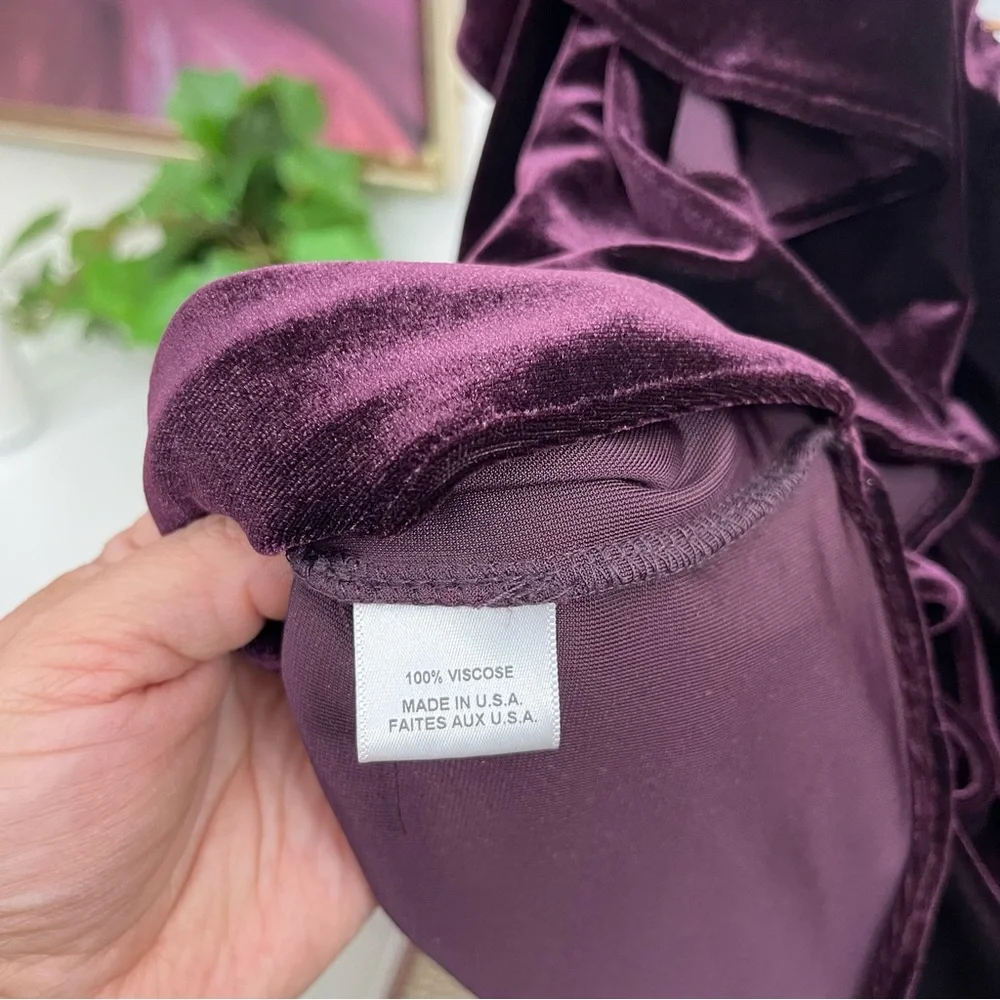 Misa Ruffle One-shoulder Velvet TopIn Plum Velvet Size S‎